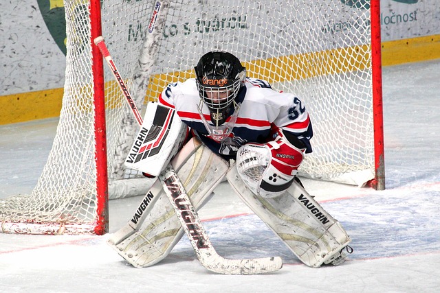 目的成绩 目的成绩